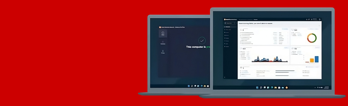 Avast Business Hub